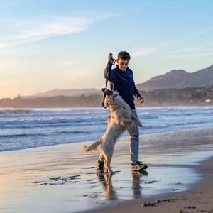 Meet your Posher, Moshe